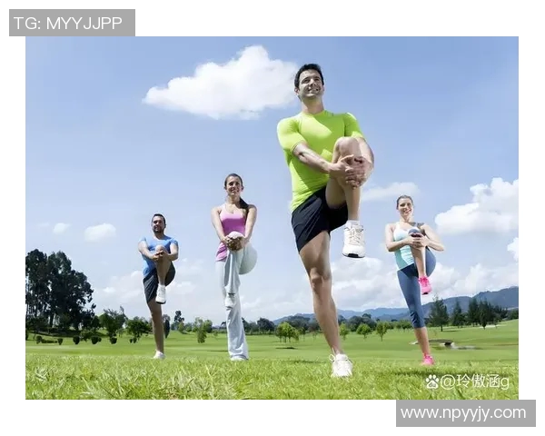 高拉力训练器如何有效提升背部与肩部肌肉力量的训练方法与技巧